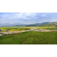 广西农垦金光农场有限公司综合农贸市场项目（广西南宁市）